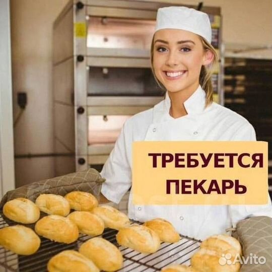 Пекарь