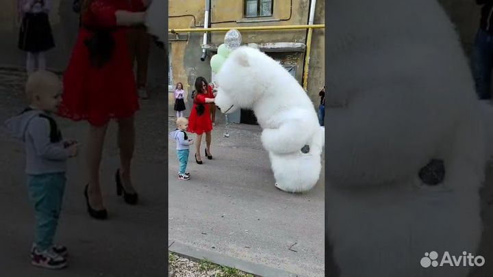 Поздравление белого медведя