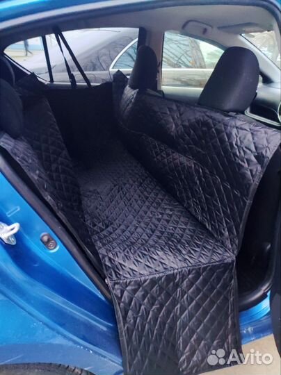 Перевозка животных зоотакси