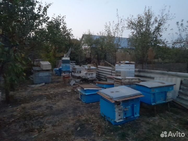 Продаются улии