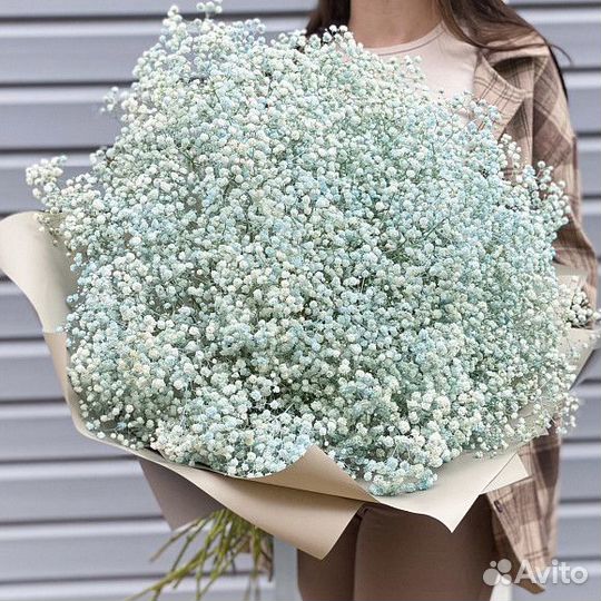 Букет из белой гипсофилы