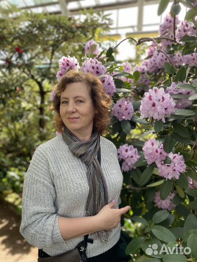 Репетитор по русскому языку огэ и егэ