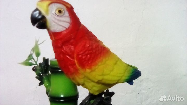 Попугай на ветке