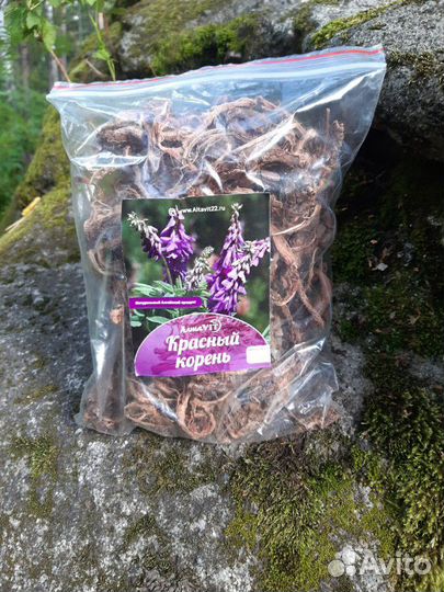 Красный корень