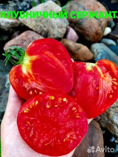 Семена томат Помидор