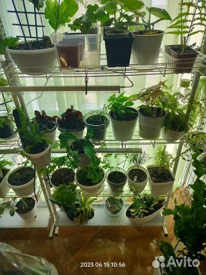 Стеллаж для растений
