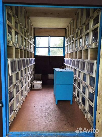 Павильон для пчёл 