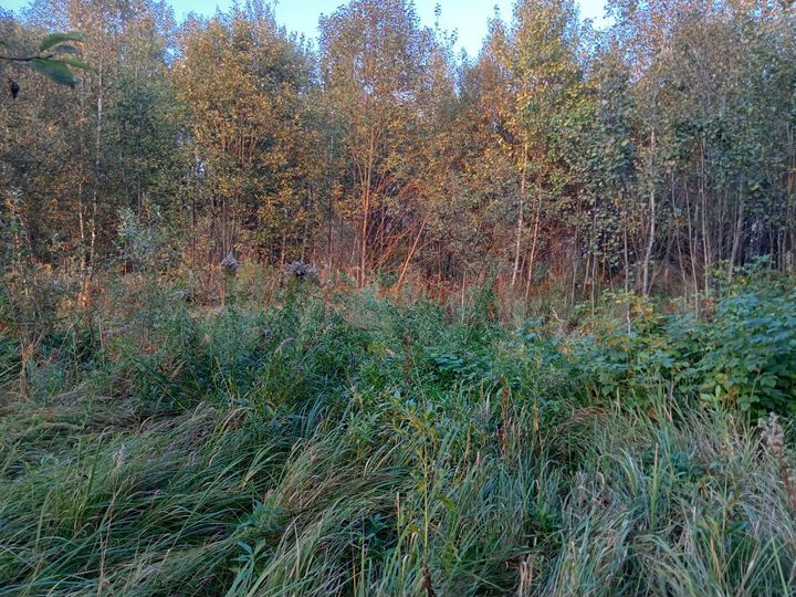 Участок 6 сот. (ИЖС)