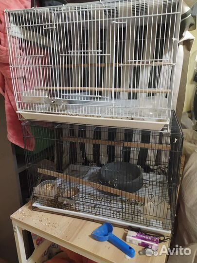 Большая клетка для птиц