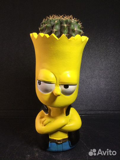 Композиция Симпсон из суккулента, кактус