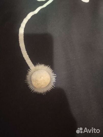 Женская одежда пакетом 52 размер