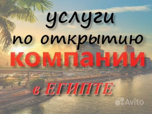 Открытие компании в Египте