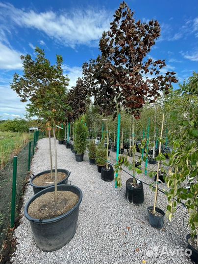 Крупномеры в ассортименте