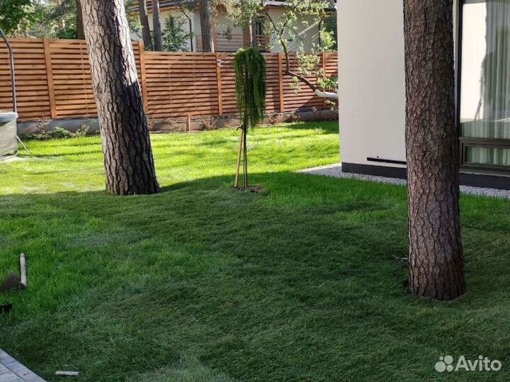 Качественный газон