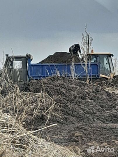 Перегной Навоз