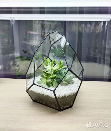 Флорариум Тиффани