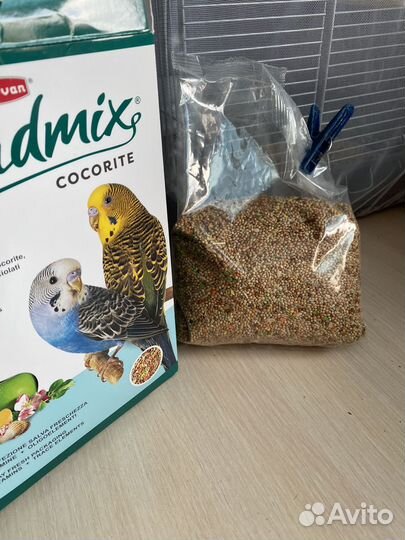 Клетка с волнистыми попугаями