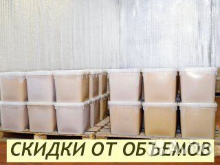 Мёд оптом с Алтая в Подольске