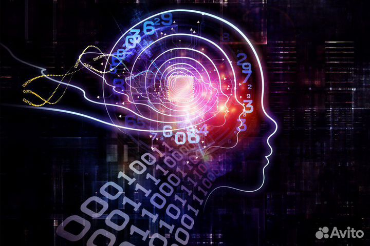 Senior Python разраб / Data Scientist (обучение)