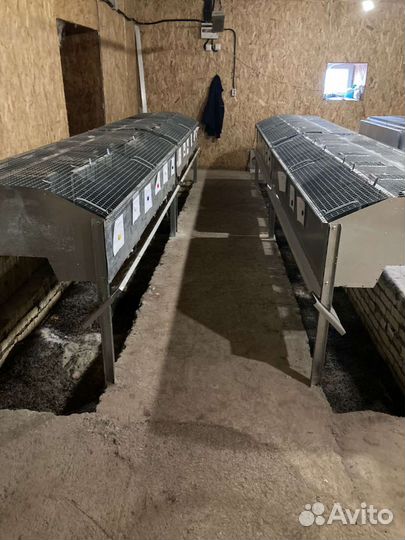 Кролики Клетки