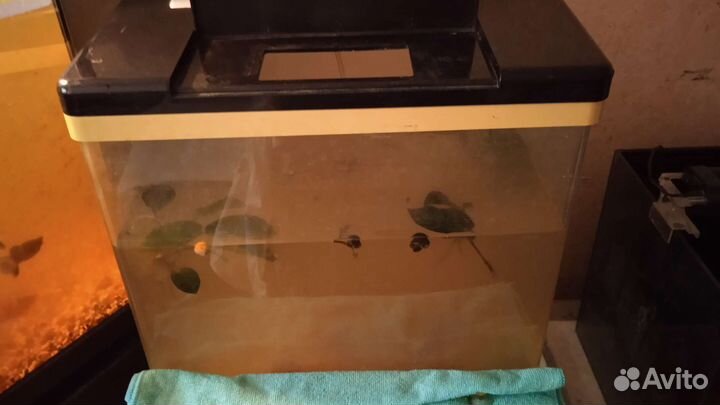Аквариум