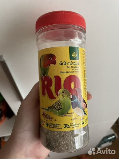 Волнистый попугай самка