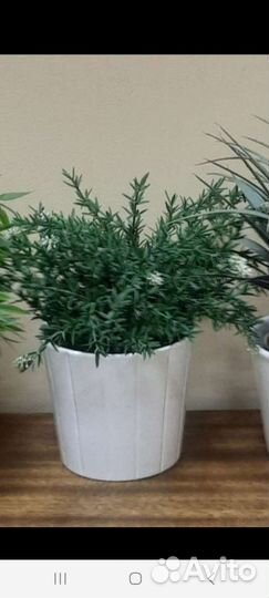 Искусственные цветы Икея