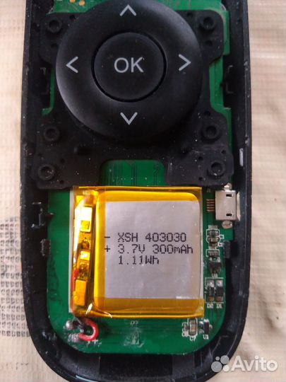 Пульаэромышь