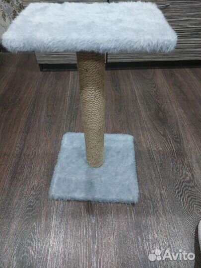 Когтеточка