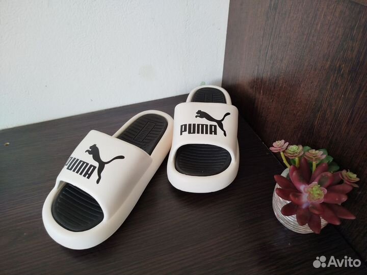 Сланцы мужские Puma/Lux размеры:40-45