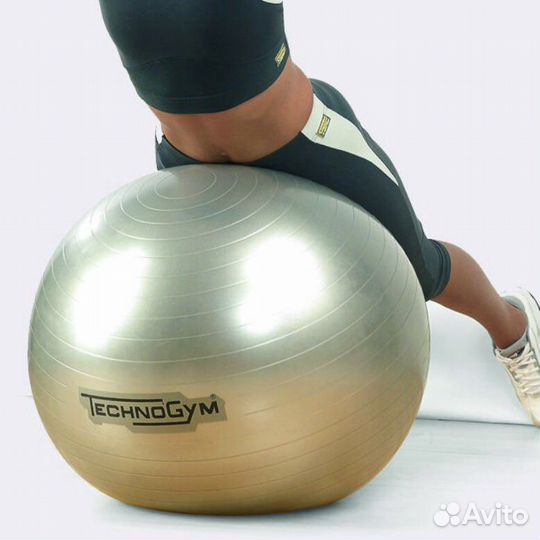Фитбол, гимнастический мяч Techogim