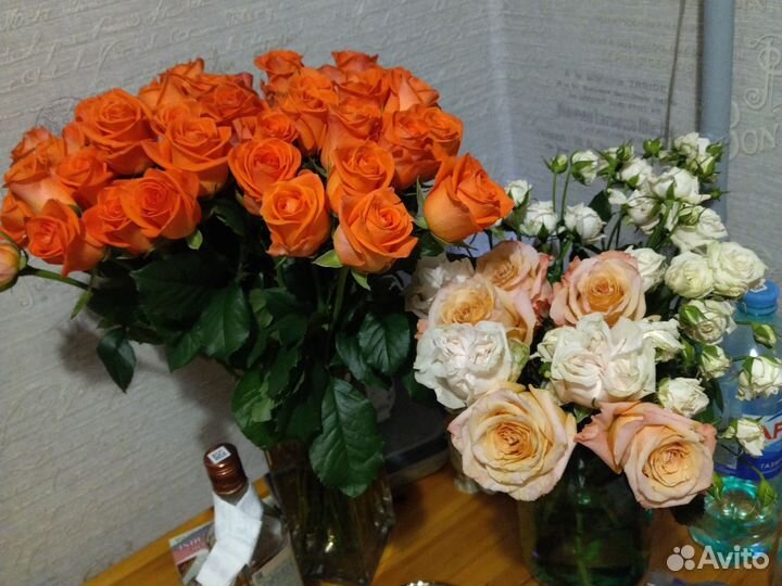 Розы, Кустовые розы