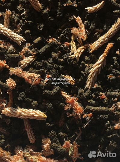 Иван-чай листовой и гранулированный с лабазником