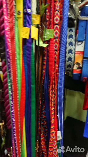 Ошейники, поводки, шлейки, ринговки