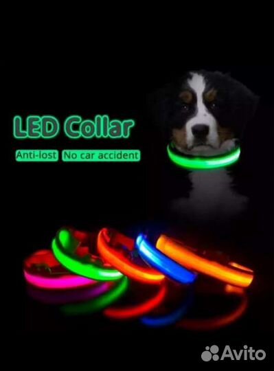 Ошейник led