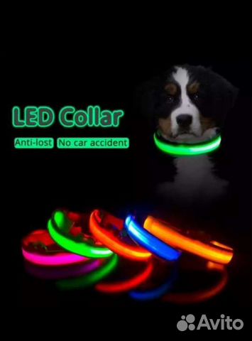 Ошейник led