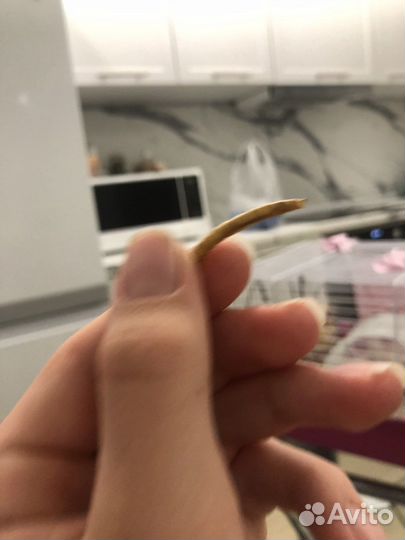 Little one опарыши