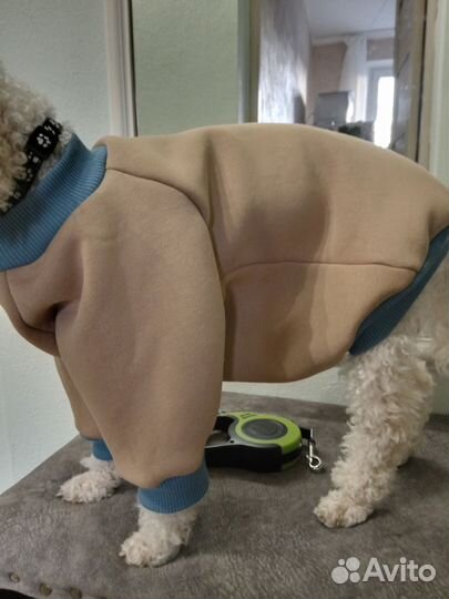 Одежда для собак