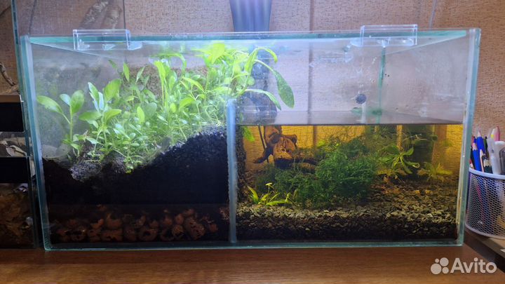 Акватеррариум