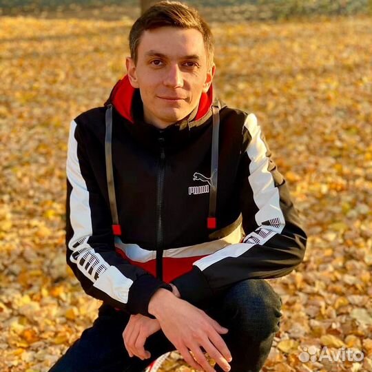 Настройка Яндекс Директ. Директолог