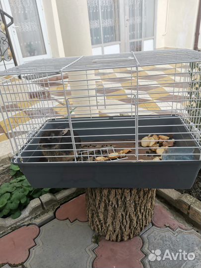 Клетка для кролика