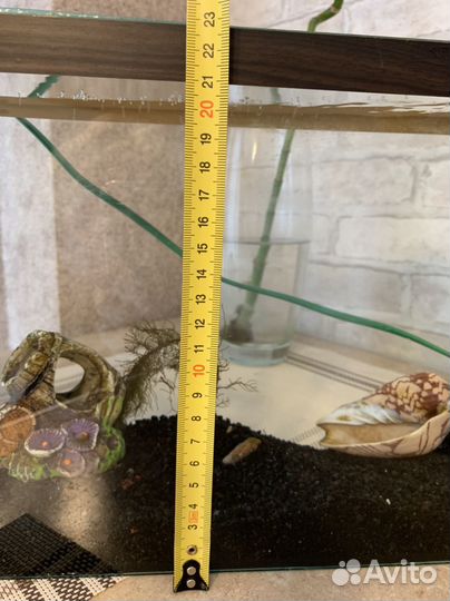 Аквариум 10 л, кормушка, лампа