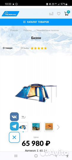 Палатка 4 местная normal Бизон