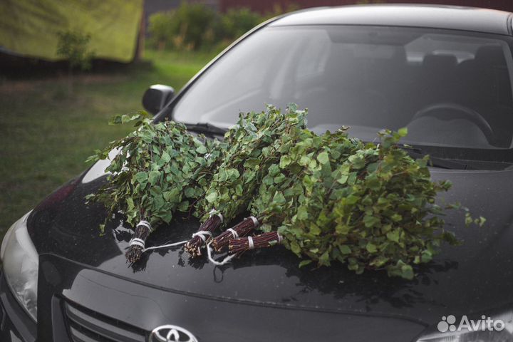 Веники оптом