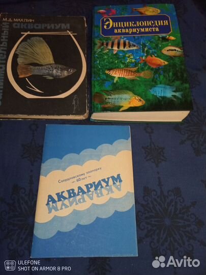 Аквариумные рыбки