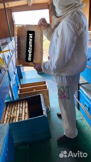 Мёд Дагестанский от собственника