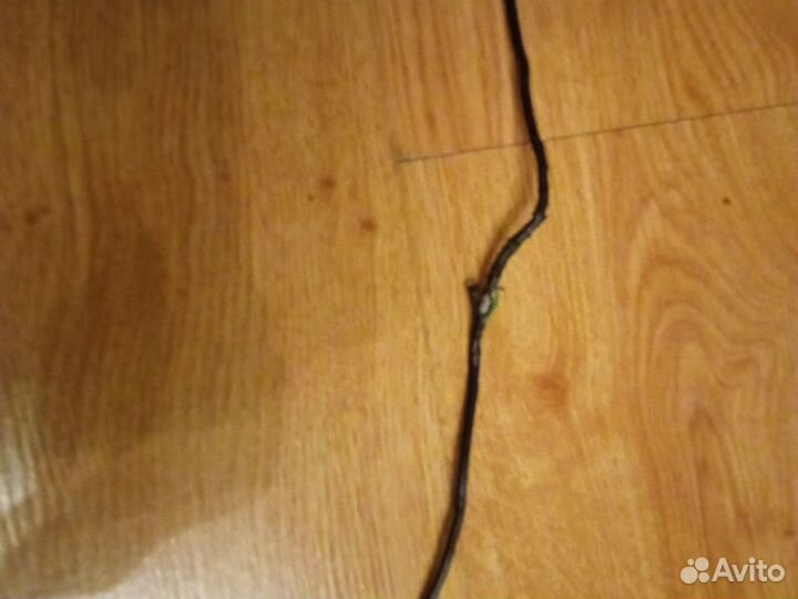 Игровая мышь razer deathadder essential