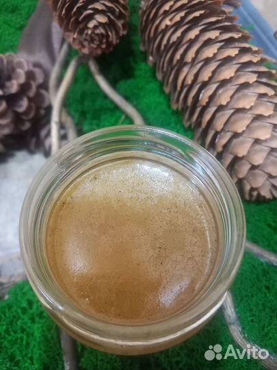 Живица пихтовая