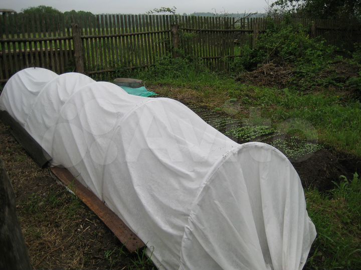 Участок 41 сот. (ИЖС)