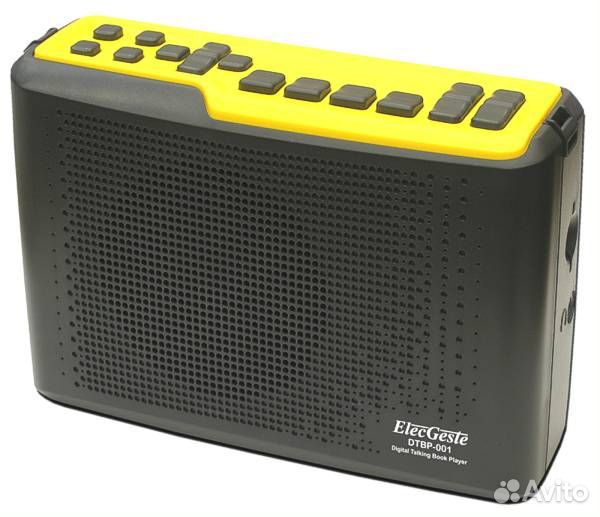 Тифлофлешплеер dtbr-001